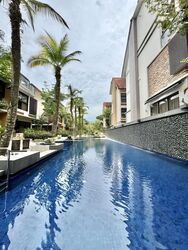 Holland Link (D10), Terrace #546995671